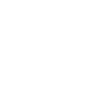 LG Seeds